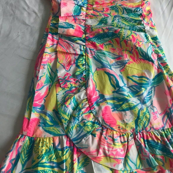 ❌❌Lilly Pulitzer Dress❌❌❌❌ - Picture 6 of 10